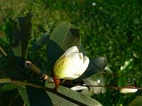 2011-04-24_17-14-52_0195