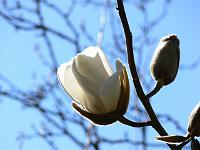 03-04-2007_18-40-01_25