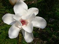 2009-04-16_14-41-44_0061