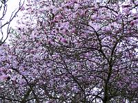 15-04-2007_07-00-52_252