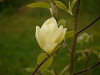 2014-05-06_08-36-26_0216