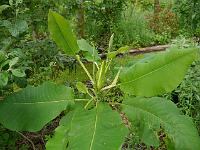 2012-06-19_12-56-12_0274