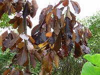 28-10-2006_14-02-04_02