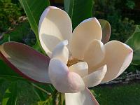 31-05-2007_18-53-13_283