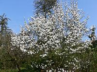 2009-04-16_11-13-52_0043