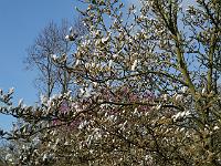 2012-03-31_09-25-21_0084