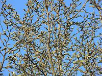 17-04-2006_08-51-36_163