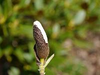 2012-04-22_12-47-44_0042