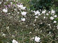 07-04-2007_18-22-08_29