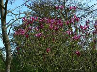 2010-05-20_15-49-58_0282