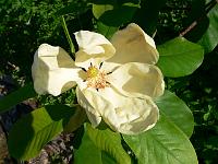 01-06-2007_18-03-13_03