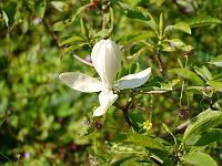 2012-07-03_09-06-22_0277