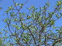 11-05-2006_11-32-57_07