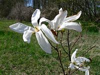 2010-04-27_14-47-48_0013