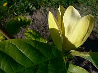 2008-05-11_16-16-51_0008