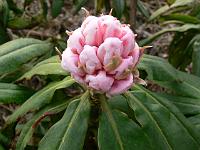 16-04-2006_18-42-03_71