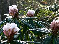 17-04-2006_08-44-24_49