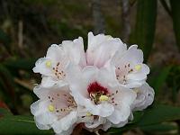 17-04-2006_15-09-28_115