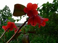 17-06-2007_19-08-25_15