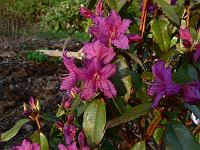 2011-04-26_17-28-23_0181