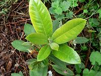 30-05-2007_10-58-18_16