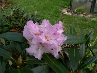 2011-04-16_10-05-11_0087