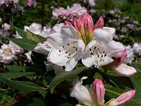 12-05-2006_12-57-37_159