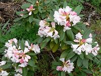 13-05-2006_10-51-29_141