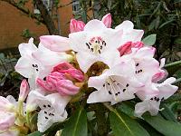 13-05-2006_10-53-06_166