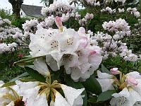 18-05-2006_17-37-51_193