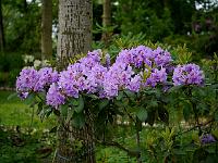 2012-06-06_09-03-40_0030