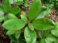 10-07-2007_17-40-29_59