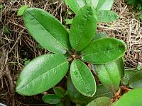 10-07-2007_17-40-36_61