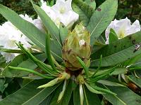 19-06-2006_09-04-13_68