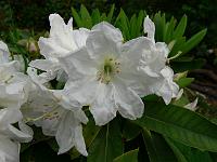 19-06-2006_09-04-25_71