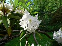 23-06-2006_08-51-35_29