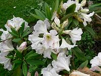 23-06-2006_08-51-39_30