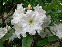 23-06-2006_08-52-00_35