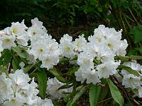 24-06-2006_17-35-18_59