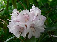 11-05-2007_09-31-59_33