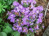 09-06-2006_10-48-08_11