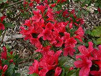 2009-05-17_09-40-07_0115