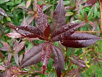 13-07-2007_10-25-11_19