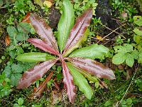 2012-09-15_16-19-00_0079