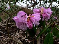 2011-04-04_08-23-52_0012