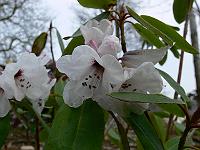 2011-04-16_09-33-11_0027