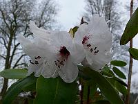 2011-04-16_09-33-20_0030