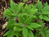 2011-05-14_12-00-40_0040