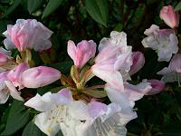 04-05-2006_08-04-08_188