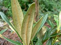 20-09-2006_16-19-03_25